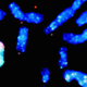 Illustration for article titled Science gets closer to artificial life with first synthetic chromosome